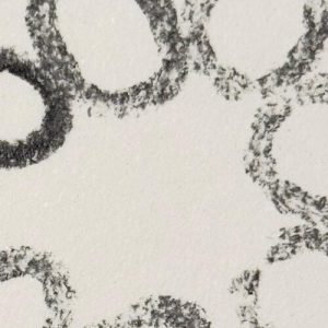 Elodie Brillon • ACVPR 1