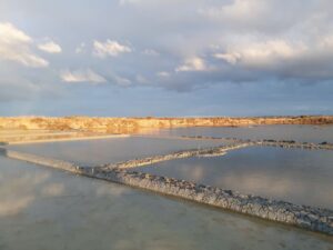 Lire la suite à propos de l’article Chemins de traverse : paysages et écritures