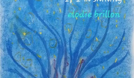 bandeau-A-PROPOS bandeau-A-PROPOS