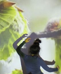 elodie-brillon-danse-wu-xing-02